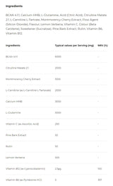 Renew Recovery, 750 г, 30 сашета